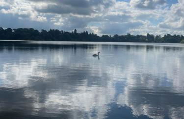 Hamilton heights - Foto 18