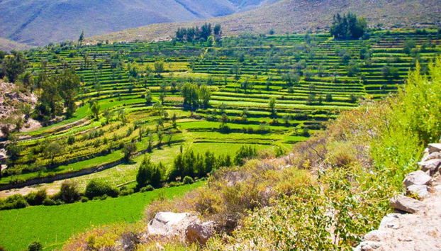 Paisagens da Rota do Loncco