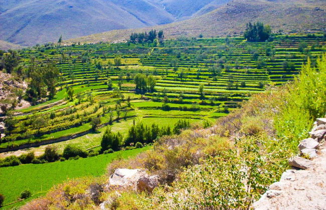 Loncco Route Tour - Photo 2