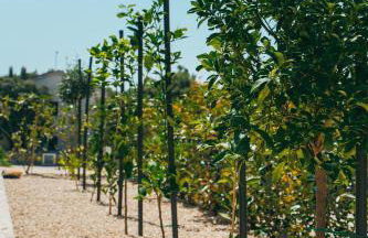 Villa Excellente - Foto 67