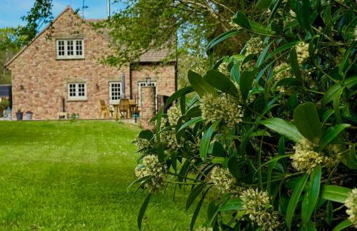 Flurry's Lodge - Foto 12