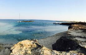 Home Music & Love - Foto 76