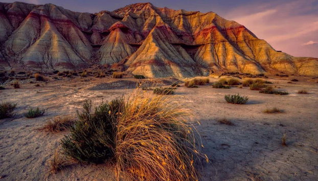 Bardenas Reales Buggy Tour - Foto 4