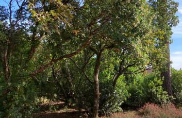 Family Home between Sea and Forest - Foto 21