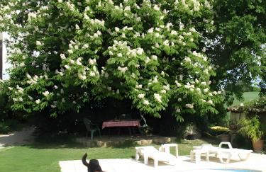 Appartement 2 - Foto 13