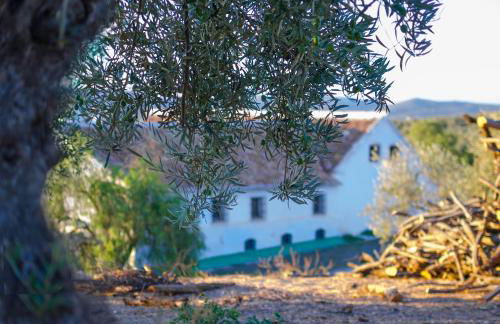 Cortijo Alzamigaja - Foto 18