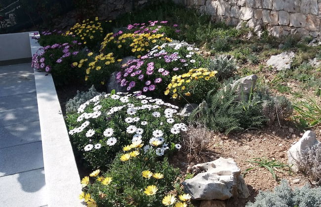 Holiday Rental House - Foto 12