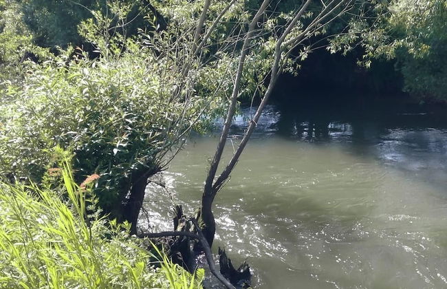 Dragons Nest: Cozy & Modern Attic Loft Nuremberg - Foto 72