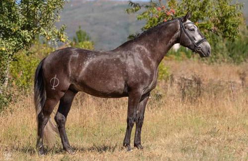 Casa do Tio João - Foto 58