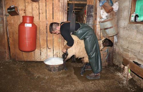 Terre Cretoise - Foto 54