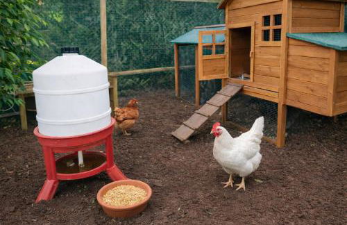 Familientraum in Gehnähe zu 3 Surfstränden - Foto 35