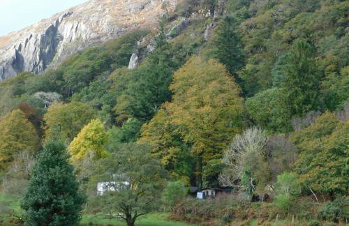 Red Dragon Cottages nr Mt Snowdon - Photo 73