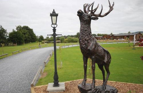 Jackson Lodge - Photo 11