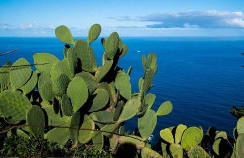 CASAS EN FINCA ECOLÓGICA LA ESPIRAL, NATURALEZA, CALMA Y VISTAS al MAR, - Foto 57
