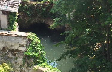 Gite de la petite masse - Foto 23