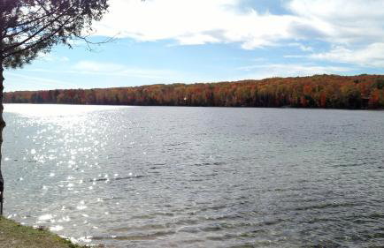 Log Cottage on Blue Lake - Foto 24