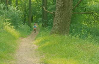 Ferienhaus am Neuklostersee - Foto 17
