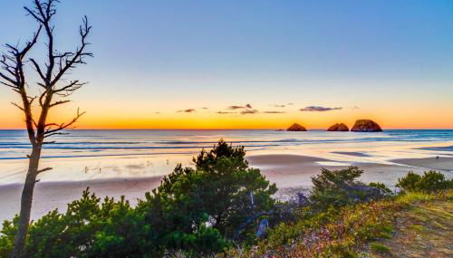 Sanderling - Photo 3