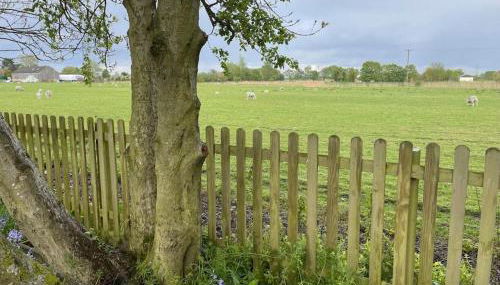 The Mash Tun - monstrous swank in a sleepy village - Foto 5