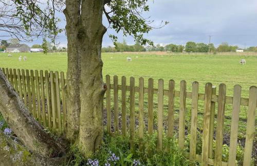 The Mash Tun - monstrous swank in a sleepy village - Foto 5