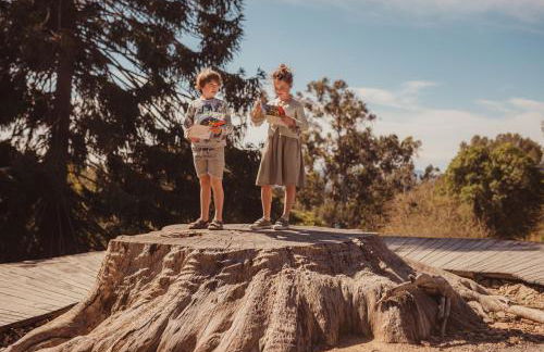 La Residence du Bailli - Foto 77