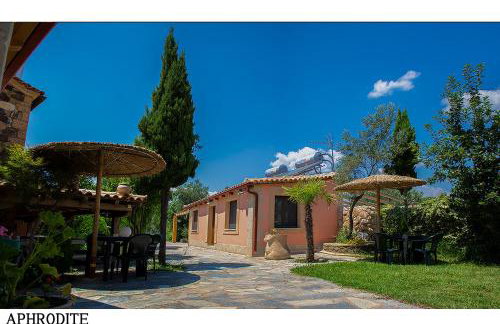 Medusa Gorgon - Photo 19