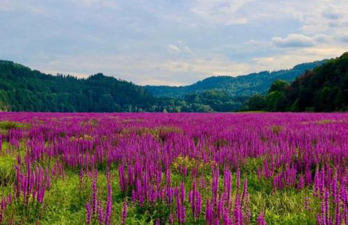 Ferienhaus in Obernburg am Edersee - Foto 63