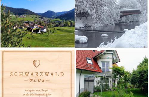 Ferienwohnung, Sauna & Gästekarte gratis im Schwarzwald - Photo 1