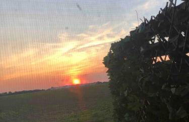 Sunset Log Cabin - Foto 6