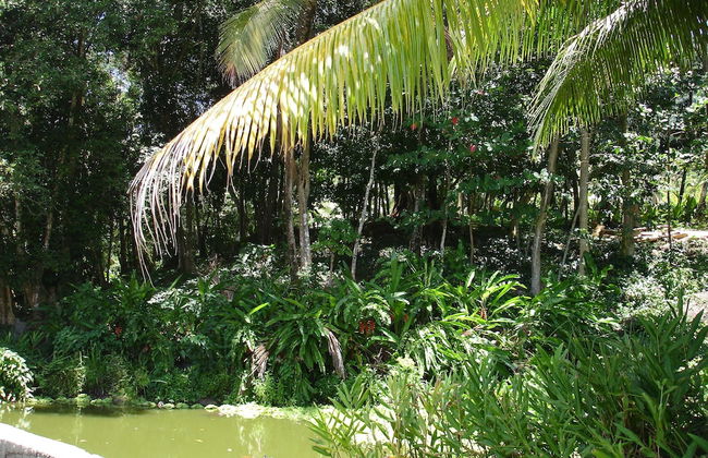 Kootney Resorts - Photo 66