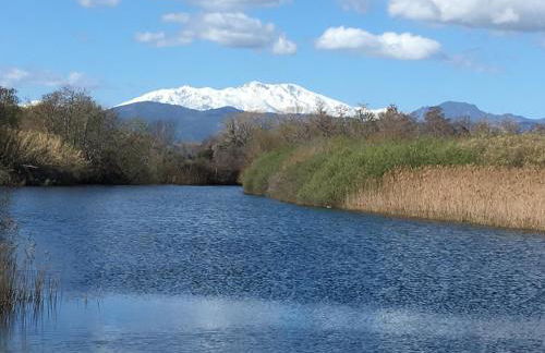 Le Clos des Arbousiers - Foto 25