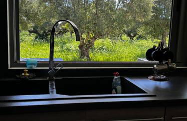 Elaiocampus luxury house - Foto 35