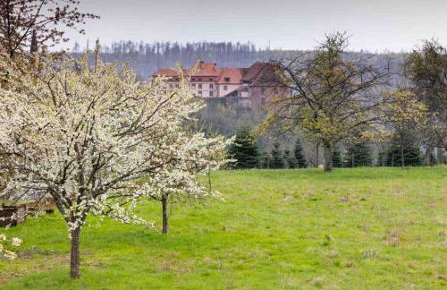 Maison Privilège Nature à La Petite Pierre - Foto 20