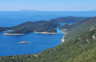 Apartmani Pjevalo-Mljet - Photo 30