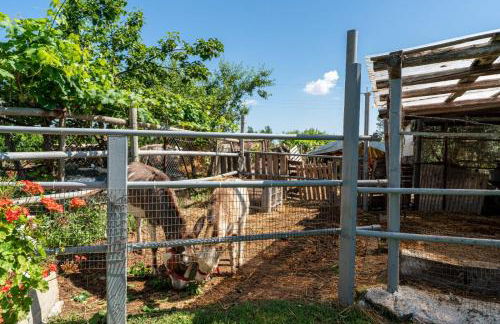 Angelo's Country House - Foto 12