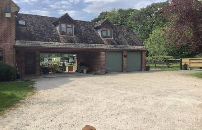 Beautiful 1-bed Apartment in Wareham,dorset - Foto 32