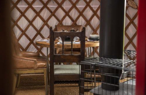 Oystercatcher - Foto 6