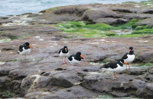 BillWatch Cottage - Foto 34