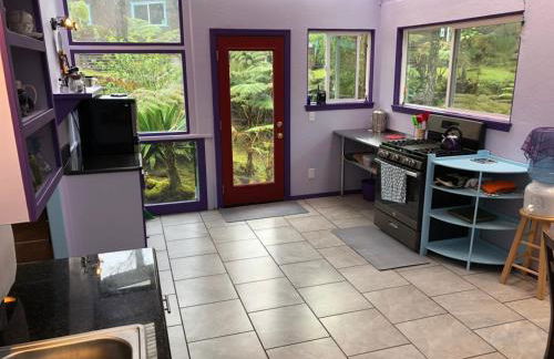 Ixchel Hawaii Volcano - Foto 2