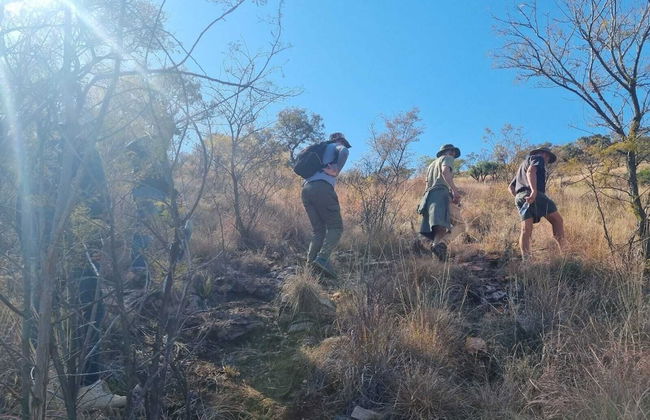 Natures Green Resort and Spa - Foto 42