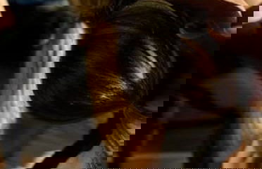 Sky-high Luxury in Downtown Miami - Photo 52