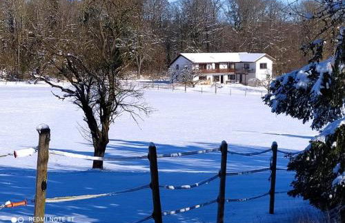 Haus Grün - Foto 34