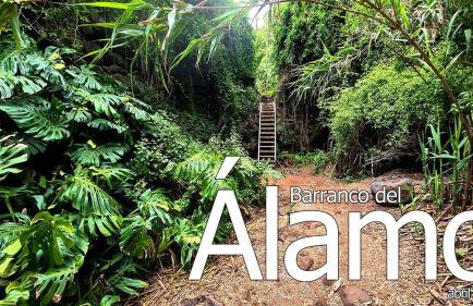 La Herbolera Vv Apartamento - Foto 44