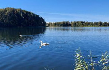 Dom Wakacyjny Kuszewo - Foto 42