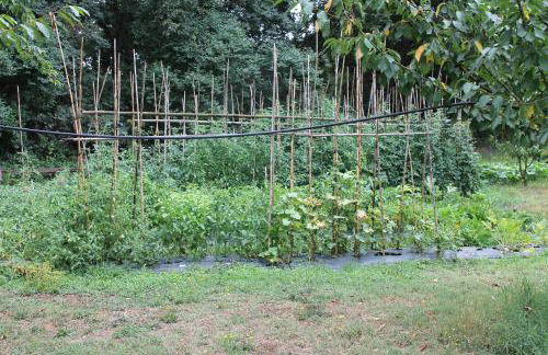 Podere Stollo - Foto 30