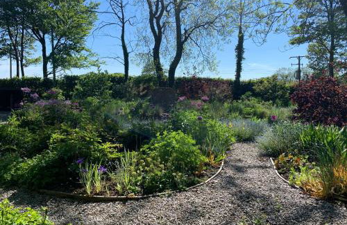 The Old Watermill - Foto 50