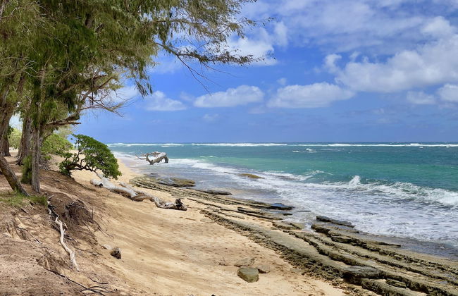 Kauai Plantation Hale Suites E12 1 Bedroom Condo - Foto 28