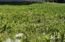 Apartamenty Na Wschodniej - Photo 2