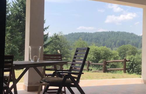 Tra il bosco e il lago - Foto 52