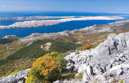 Apartment Ema - Foto 17